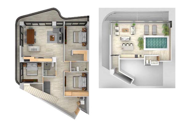 Modelo D Plus Penthouse